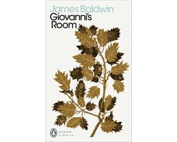 Omslag van Penguin Great Loves Giovannis Room