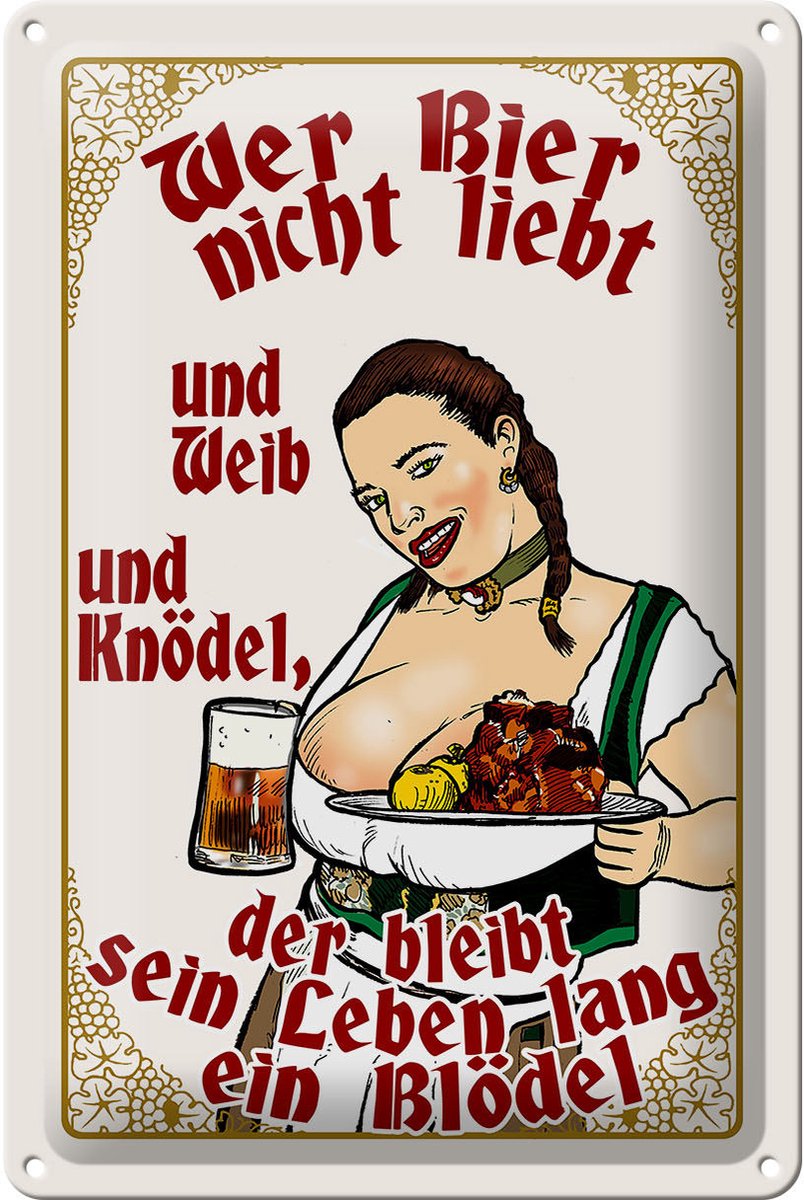 Blechschild Pinup 20x30cm wer Bier nicht liebt ein Blödel