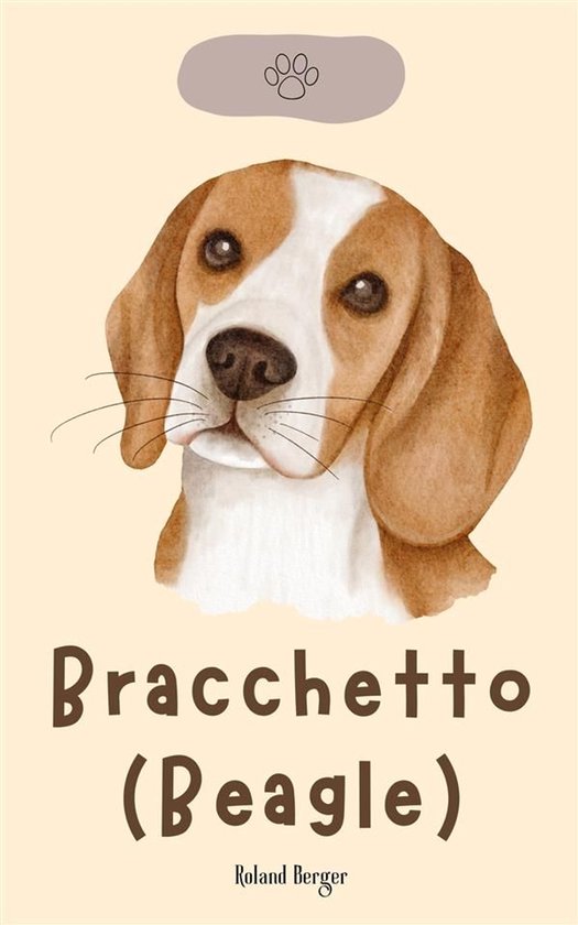 Bracchetto (Beagle) - cover