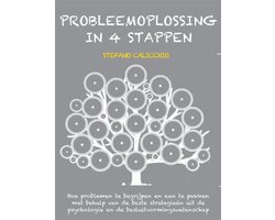Omslag van Probleemoplossing in 4 stappen