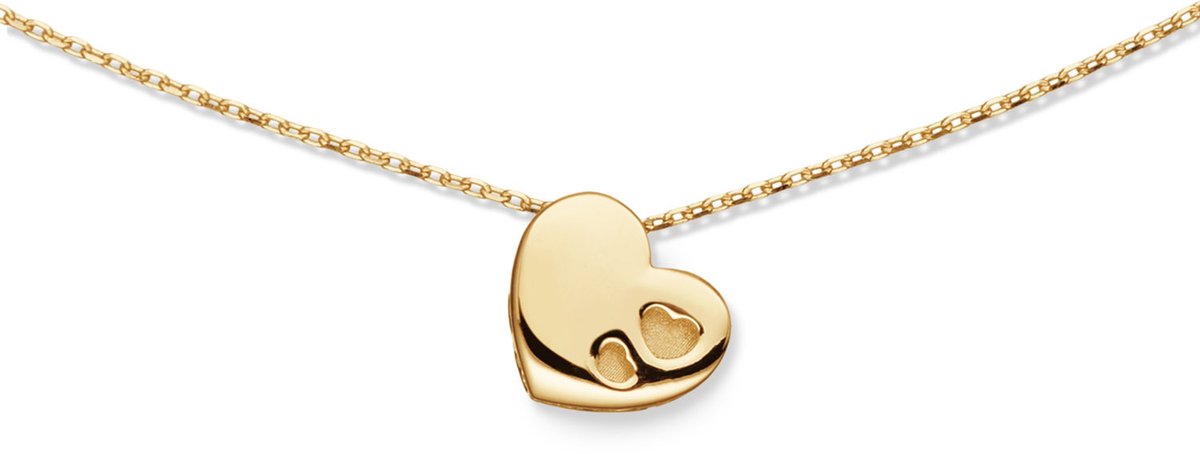 Collier Hart Met 2 Hartjes 585