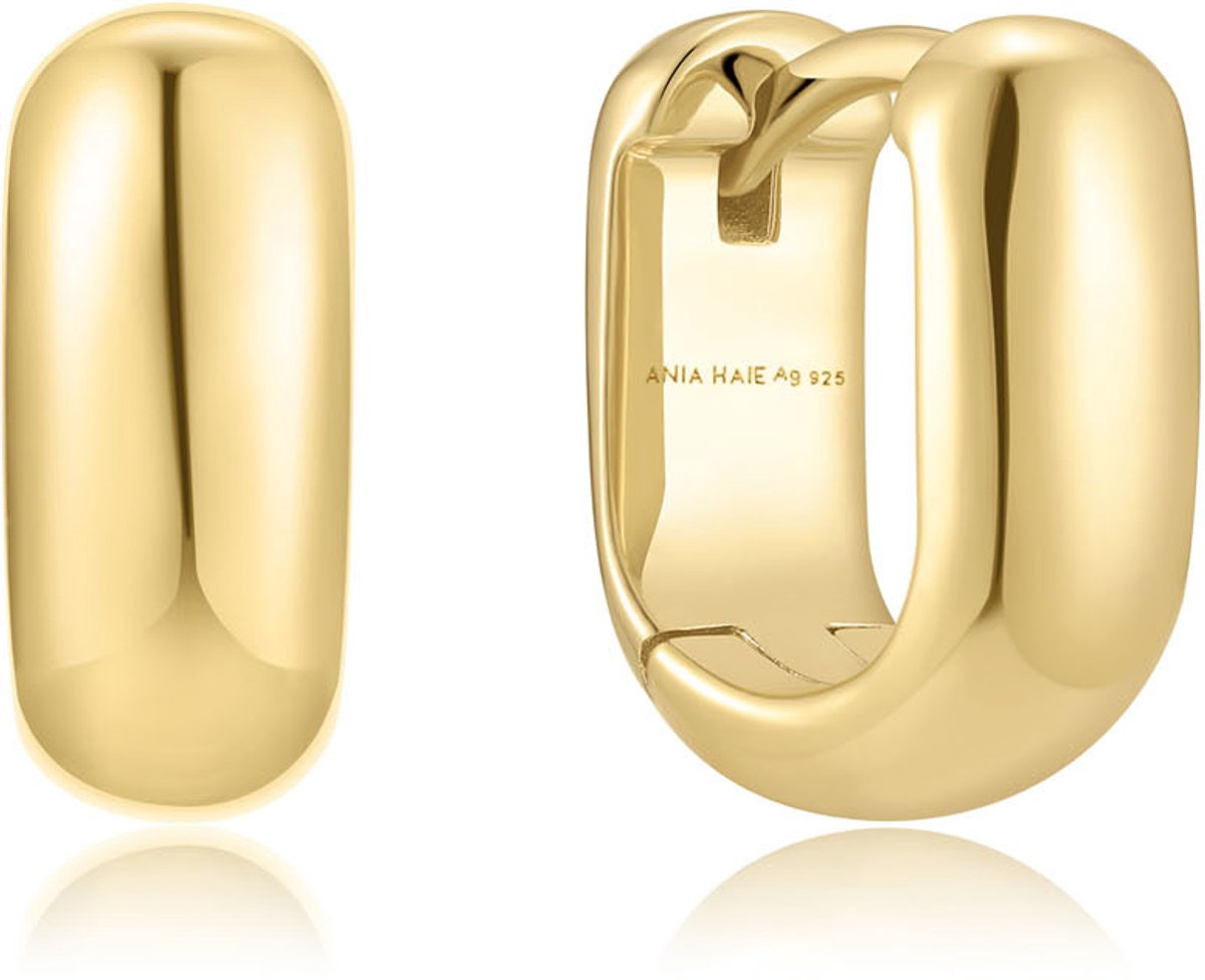 Ania Haie AH E067-08G Trailblazer Dames Oorbellen - Oorringen