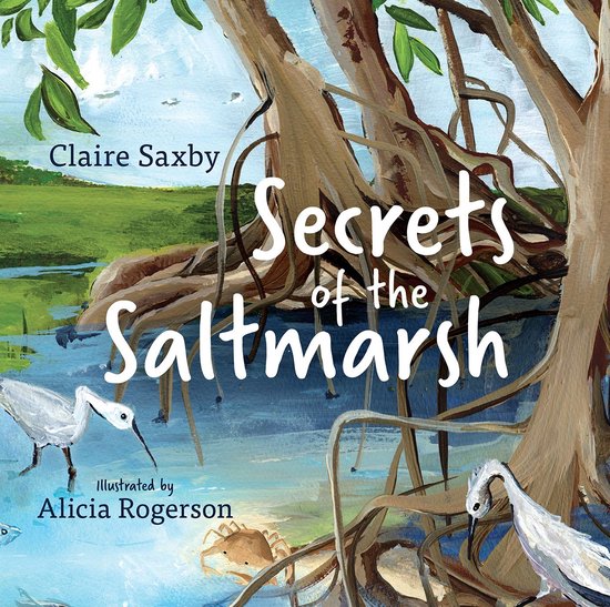 Secrets of the Saltmarsh - cover