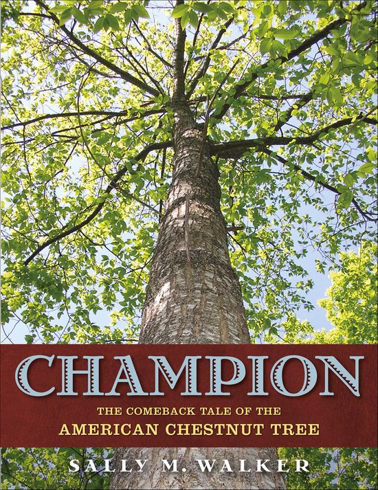Champion - cover