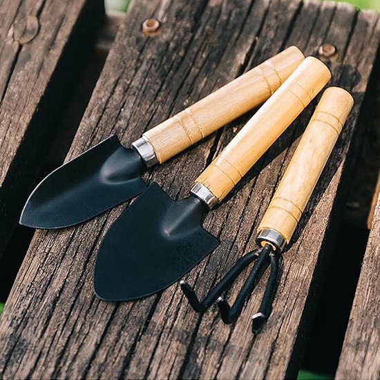 Mini Tuinset Met Schep en Hark - 3 Delige Roestvrijstalen Handgereedschap voor Bonsai en Kleine Planten van Merkloos	 — afbeelding 4