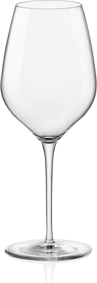 Set van 6 Luxe Champagneglazen XL - Perfect voor Proeverijen - 43 cl
