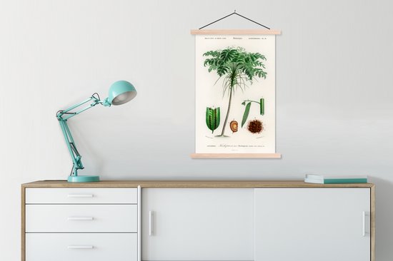 Porte-affiche avec affiche - Affiche scolaire - Arbre - Vintage - Graines - 60x90 cm - lattes vierges