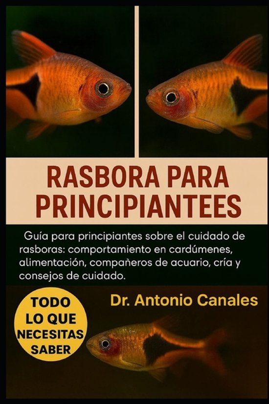 Rasbora Para Principiantes - cover