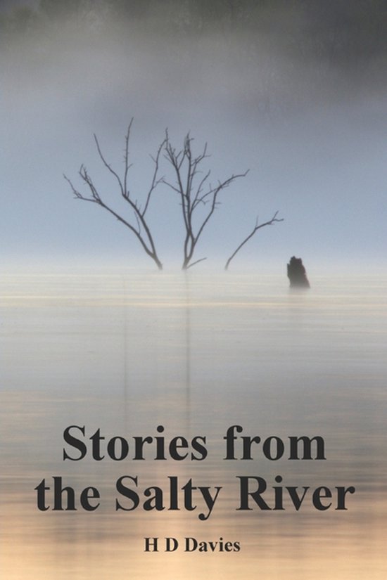Stories From the Salty River - cover