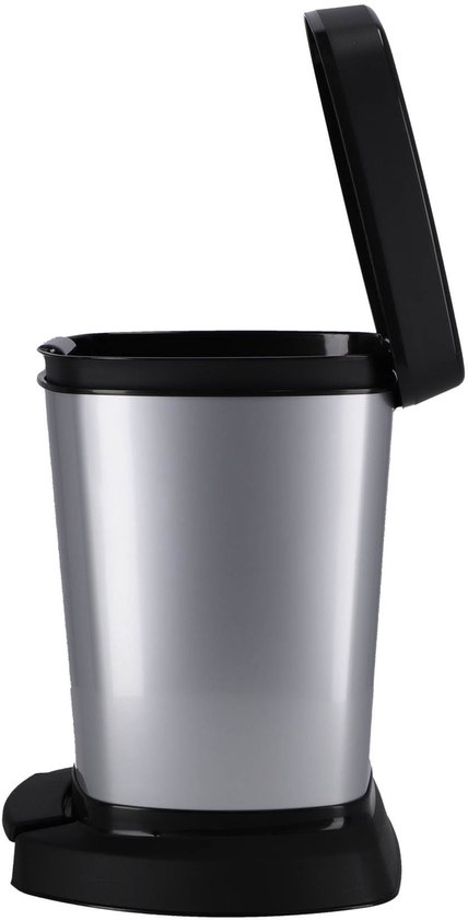 Rotho Paso Poubelle à Pédale - 6 l - Argent Métallisé
