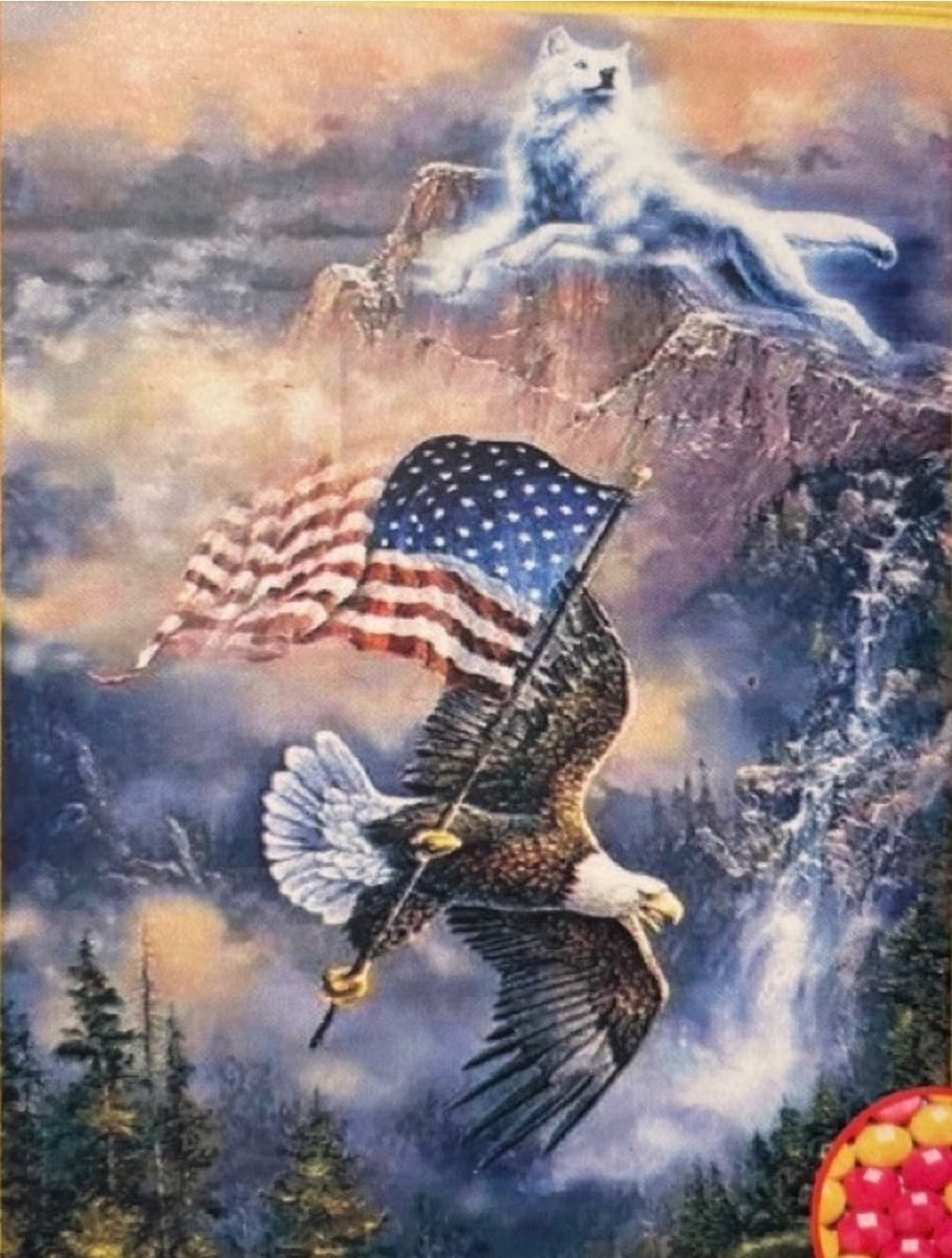 Denza - Diamond painting adelaar met Amerikaanse vlag havik 40 x 50 cm - havik - exclusief - arend - roof vogel - adelaar - zeer mooi - arend