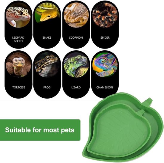 Reptielen Schildpad Voederbak, 2-in-1 voerbak voor reptielen, schildpad, automatische voederbak, geschikt voor schildpadden, gekko's