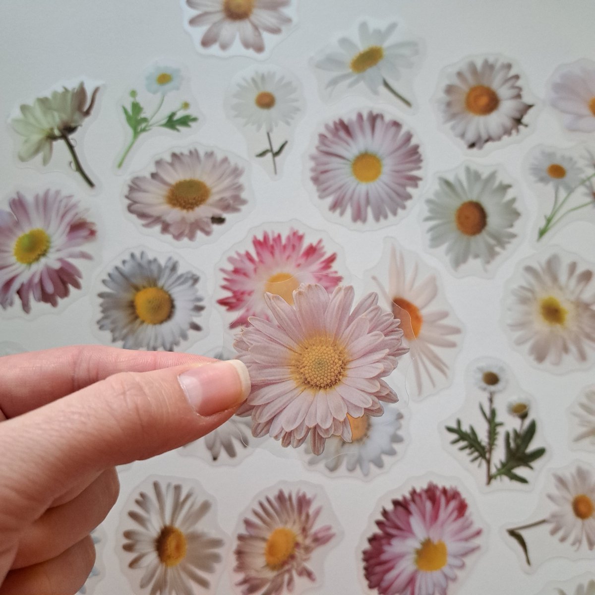 Madelief stickers - bloemen - Transparante stickers - 40 stuks - Scrapbook - Bullet journal stickers - laptop stickers - Stickers volwassenen en kinderen