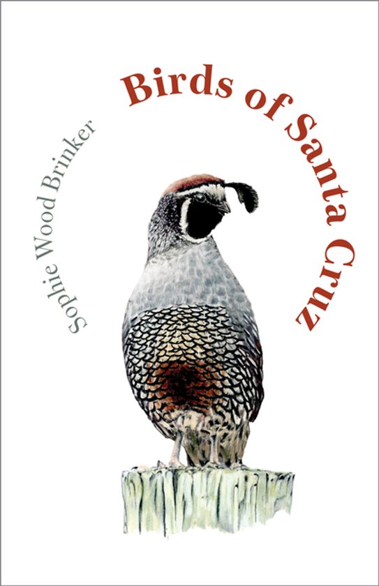 The Birds of California - Birds of Santa Cruz - cover