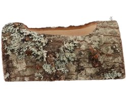 Nature Oak Planter eikenhouten plantenhouder 19x10x9 cm | 24x10x9 cm voor terrarium of interieur 24 x 10 x 9 cm