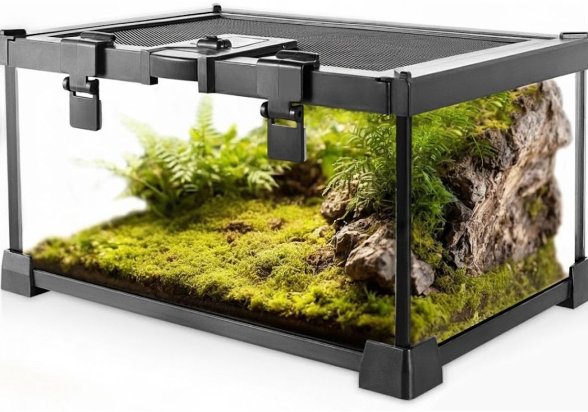 White-Label® Terrarium - Ecosysteem - Reptielenverblijf - Zwart