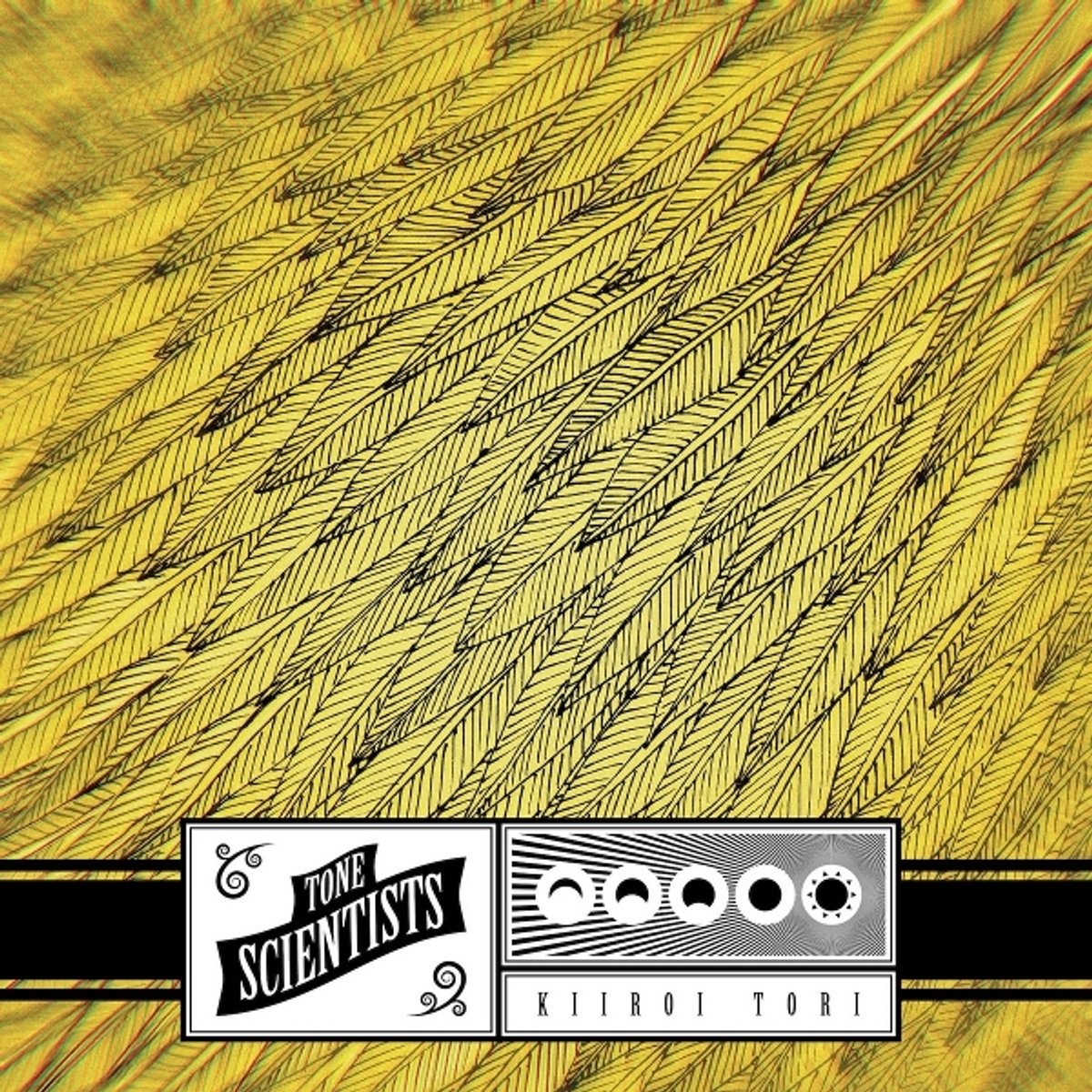 Tone Scientists - Kiiroi Tori (LP)