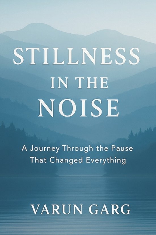 Stillness in the Noise - cover