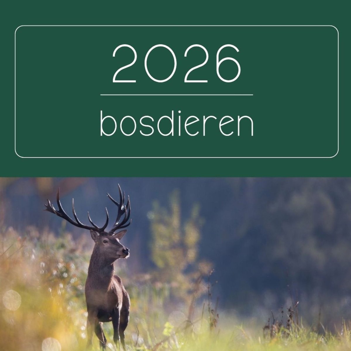 Maandkalender 2026 - Omslagkalender / verjaardagen kalender - 29 x 29 cm - Bosdieren