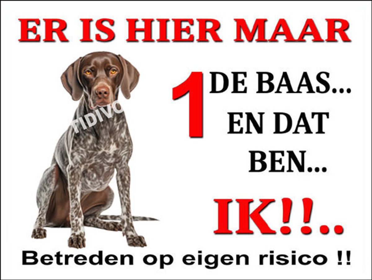 Pointer 26