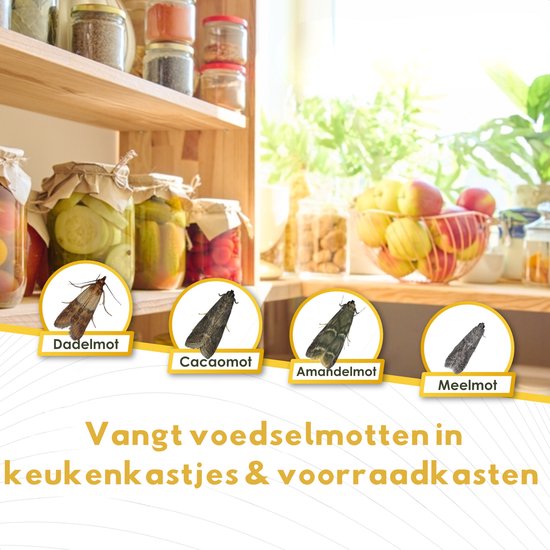 Vier afbeeldingen van motten: 'Dadelmot', 'Cacaomot', 'Aardamandelmot', 'Meelmot'.