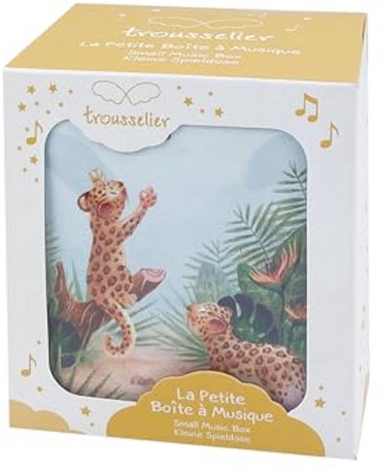 Schatkist En Muziek Sieraden Voor Kinderen - Groene Muziekdoos Met Doornroosje Van Tchaikovsky Perfect Cadeau