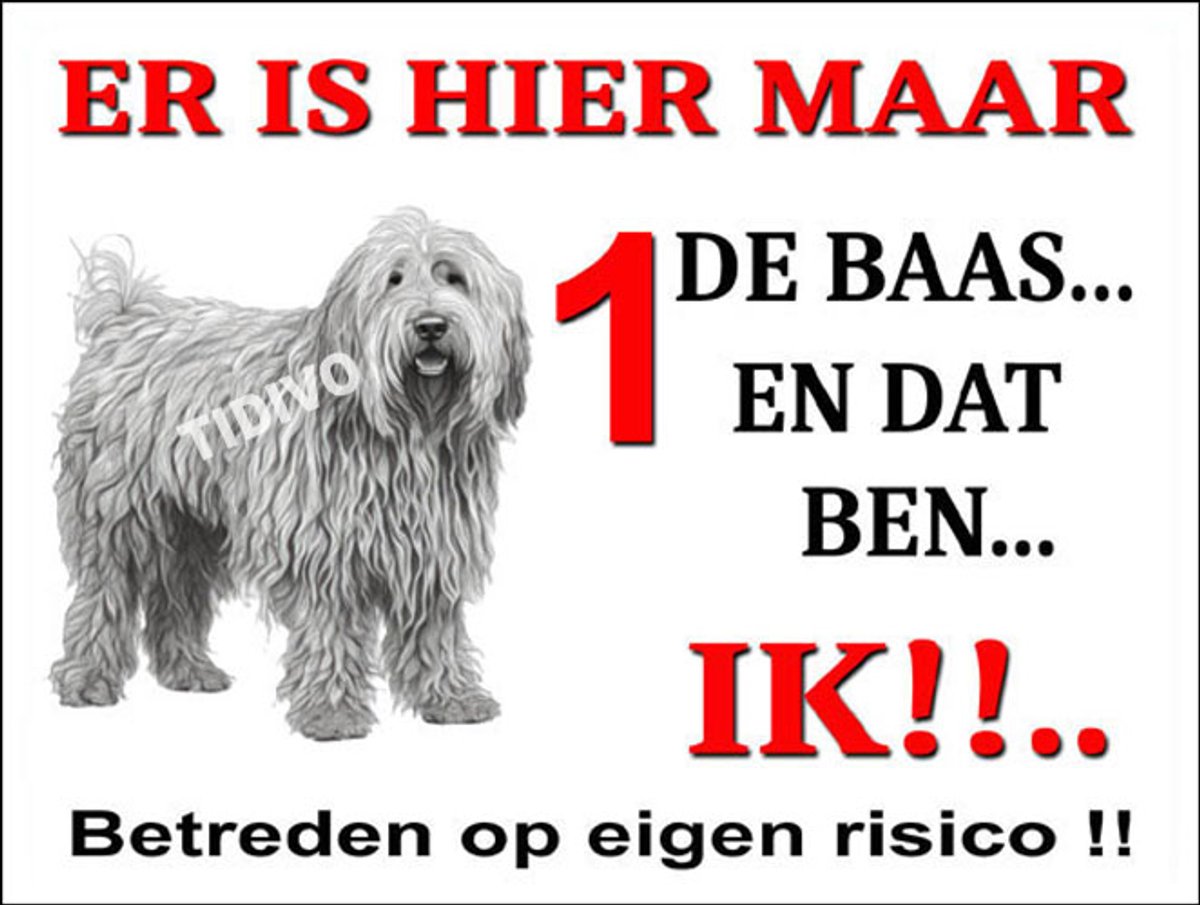 Komondor 26