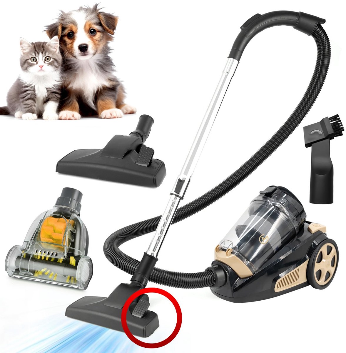 AG3400 Stofzuiger Zonder Zak - Stofzuigers - Vacuum Cleaner Zakloos - Geschikt Voor Dierenharen - Extra Lange Kabel - 850W - Sterke Zuigkracht - Zwart/Goud
