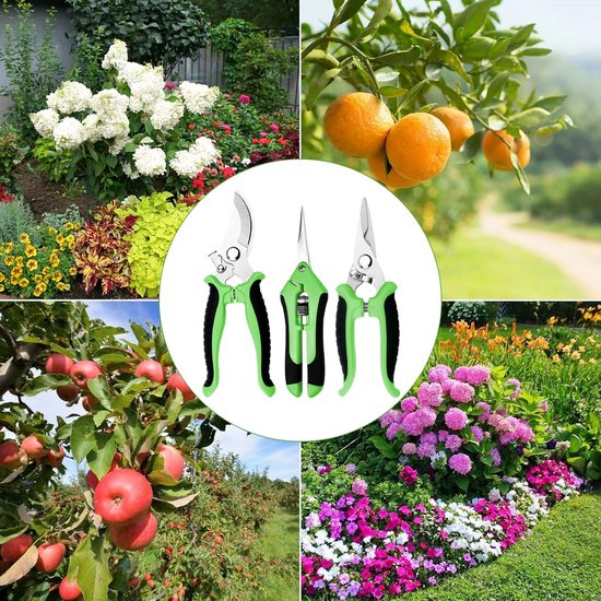 Driedelige tuinscharenset - professionele snoeischaar - takkenschaar - tuinschaar - bloemenschaar - geschikt voor planten, bloemen, takken, rozen, bonsai, groenten en fruit - Type C van Merkloos	 — afbeelding 3