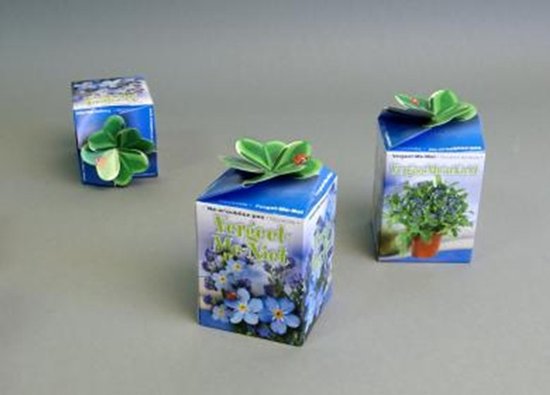 Greengiftdoosje per 10 stuks Vergeet me nietje