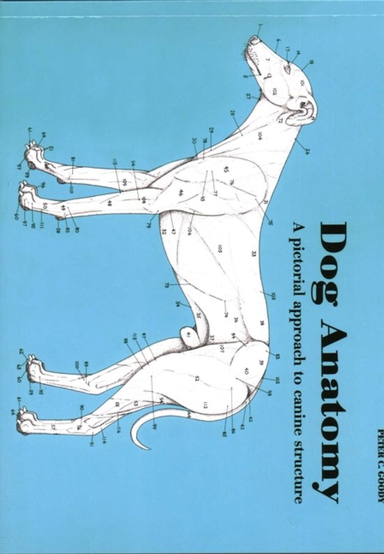 Dog Anatomy PB - cover