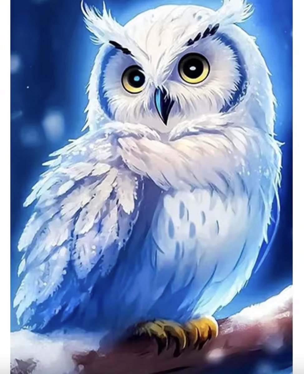 TOPMO - Witte sneeuwuil - Diamond painting pakket - HQ Diamond Painting - volledig dekkend - Diamant Schilderen – voor Volwassenen – ROND - 40 x 50 CM