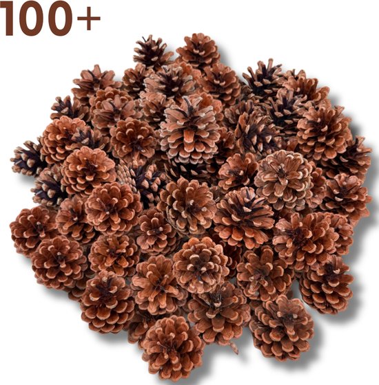 Dennenappels 100+ stuks voor Herfst stukjes, Knutselen en Kerst decoratie 4 tot 7 cm hoog - Natuurlijke Denneappels - Ook voor aanmaak BBQ en Haard