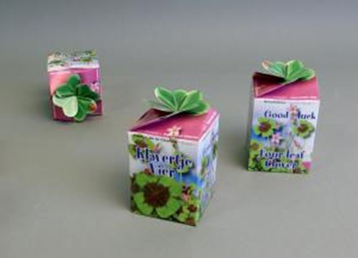 Greengift Klavertje vier per 10 stuks