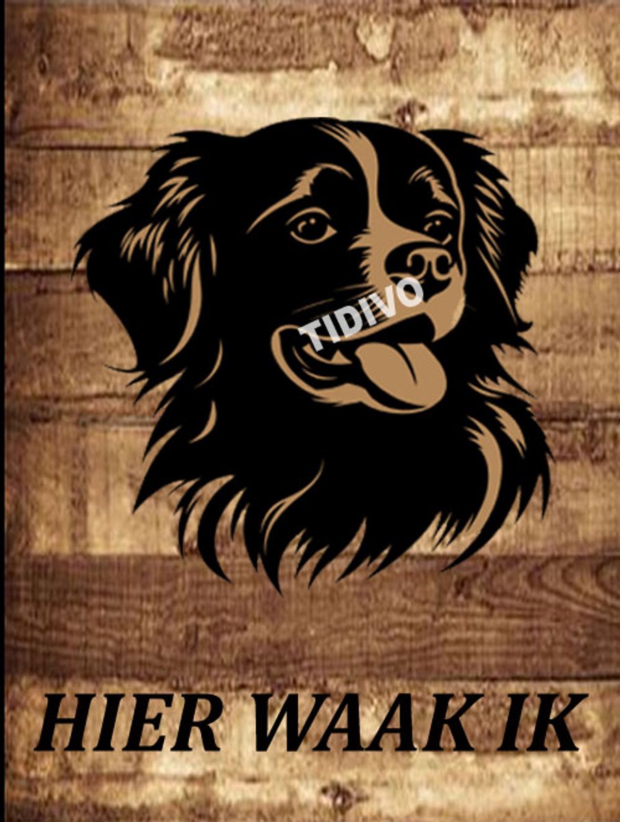 Tibetaanse Spaniel 20