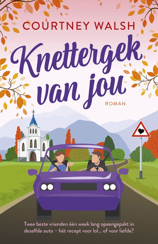 Roadtrip Romance 2 - Knettergek van jou - cover