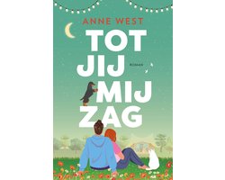 Omslag van Tot jij mij zag