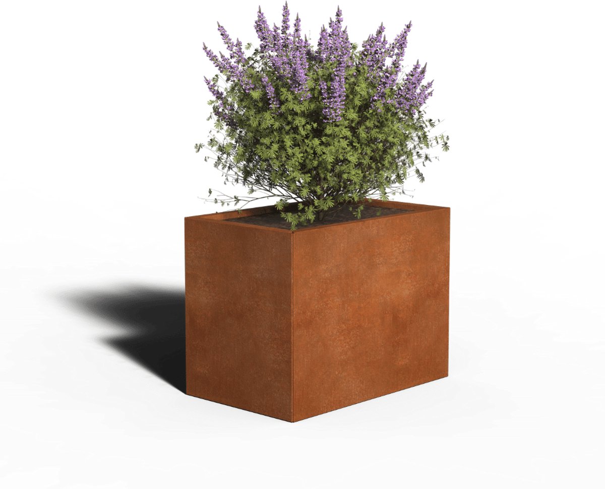 Cortenstaal Plantenbak Rechthoek | 80 x 50 x 80 | Met bodem