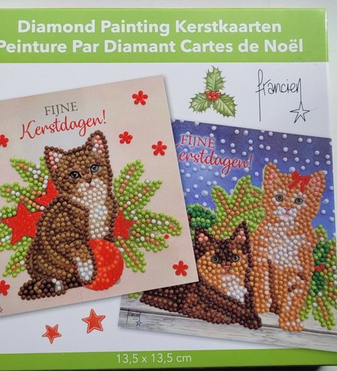 2 kerstkaarten- Franciens katten 13.5x13.5 cm bruine katten