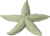 Muntgroene zeester van polyresin met een korrelige textuur op een witte achtergrond.