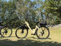 Lichtbruine elektrische fiets met zwarte details, bagagedrager, naast een paarse fiets.