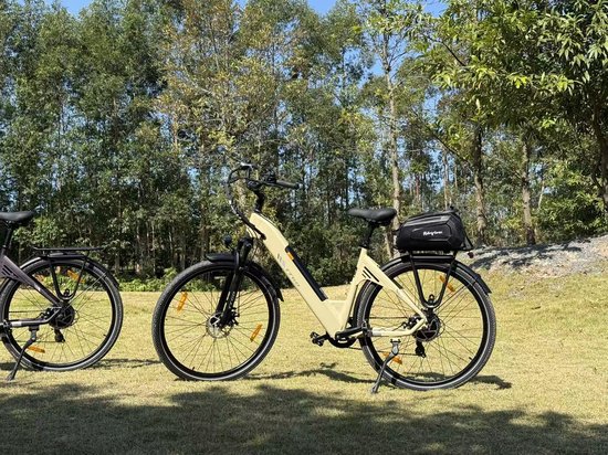 Lichtbruine elektrische fiets met zwarte details, bagagedrager, naast een paarse fiets.