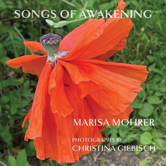 Songs of Awakening - cover