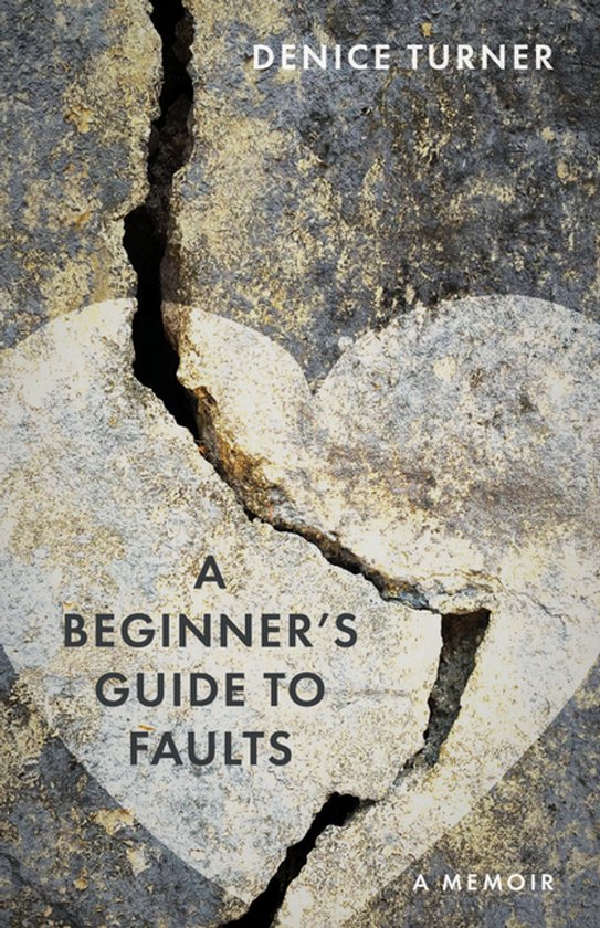 A Beginner's Guide to Faults - cover