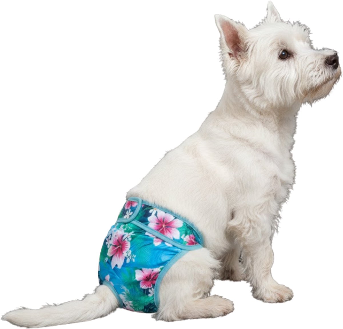 Loopsheidbroekje hond - magnolia - maat M - voor middelgrote honden - herbruikbaar - hondenbroekje - hondenluier - loopsheid - ongesteldheid - voorkomt ongewenste zwangerschappen bij teefjes - milieuvriendelijk - verantwoord - perfecte pasvorm