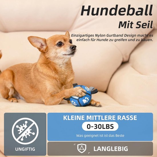 Darryy Hondenspeelbal voor honden met 1 dienblad, interactief kauwspeelgoed voor honden, herbruikbaar, om je puppy af te leiden