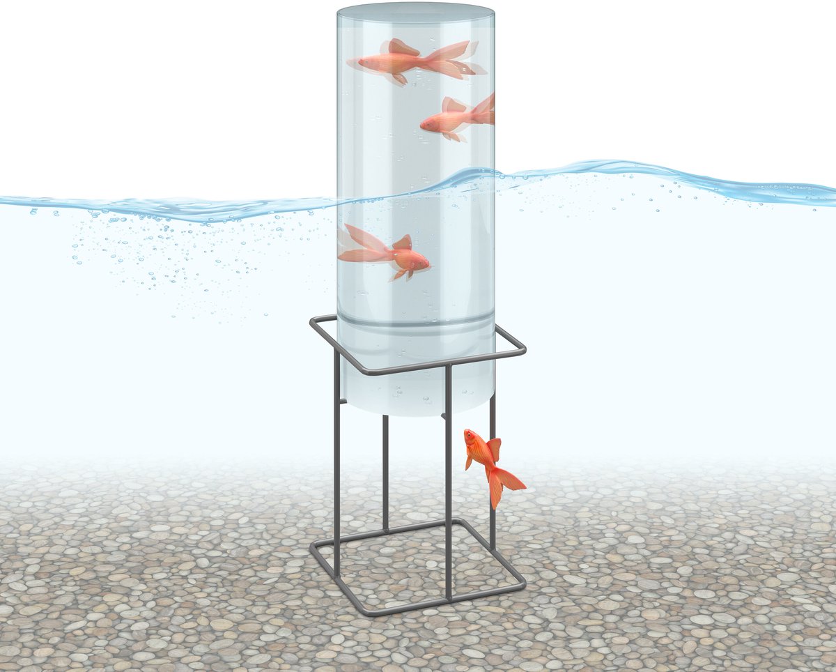 Vistoren - 41xØ20 cm - met standaard