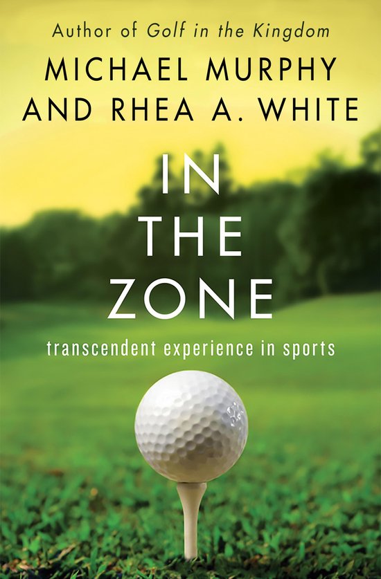 In the Zone - cover