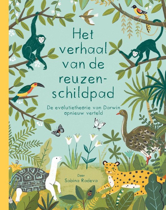 Het verhaal van de reuzenschildpad - cover