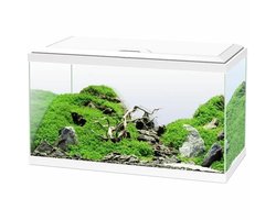Aquarium Ciano